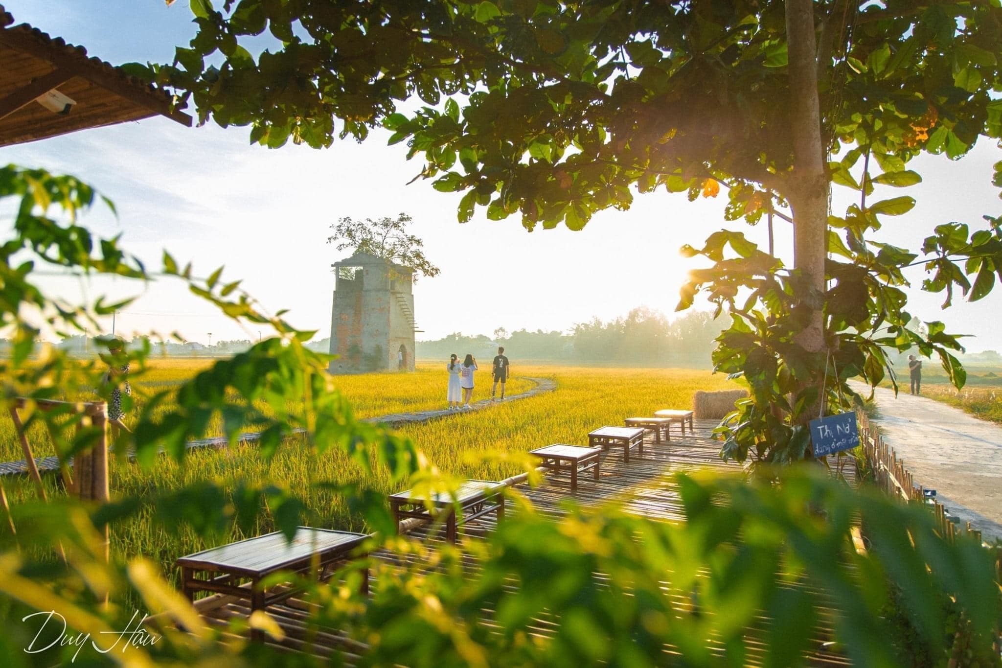 Thi Công Quán Cafe Tiền Chế Hội An – Giải Pháp Không Gian Độc Đáo Giữa Lòng Phố Cổ 2 Thi Công Quán Cafe Tiền Chế Hội An Trải nghiệm không gian mới mẻ, thu hút khách du lịch
