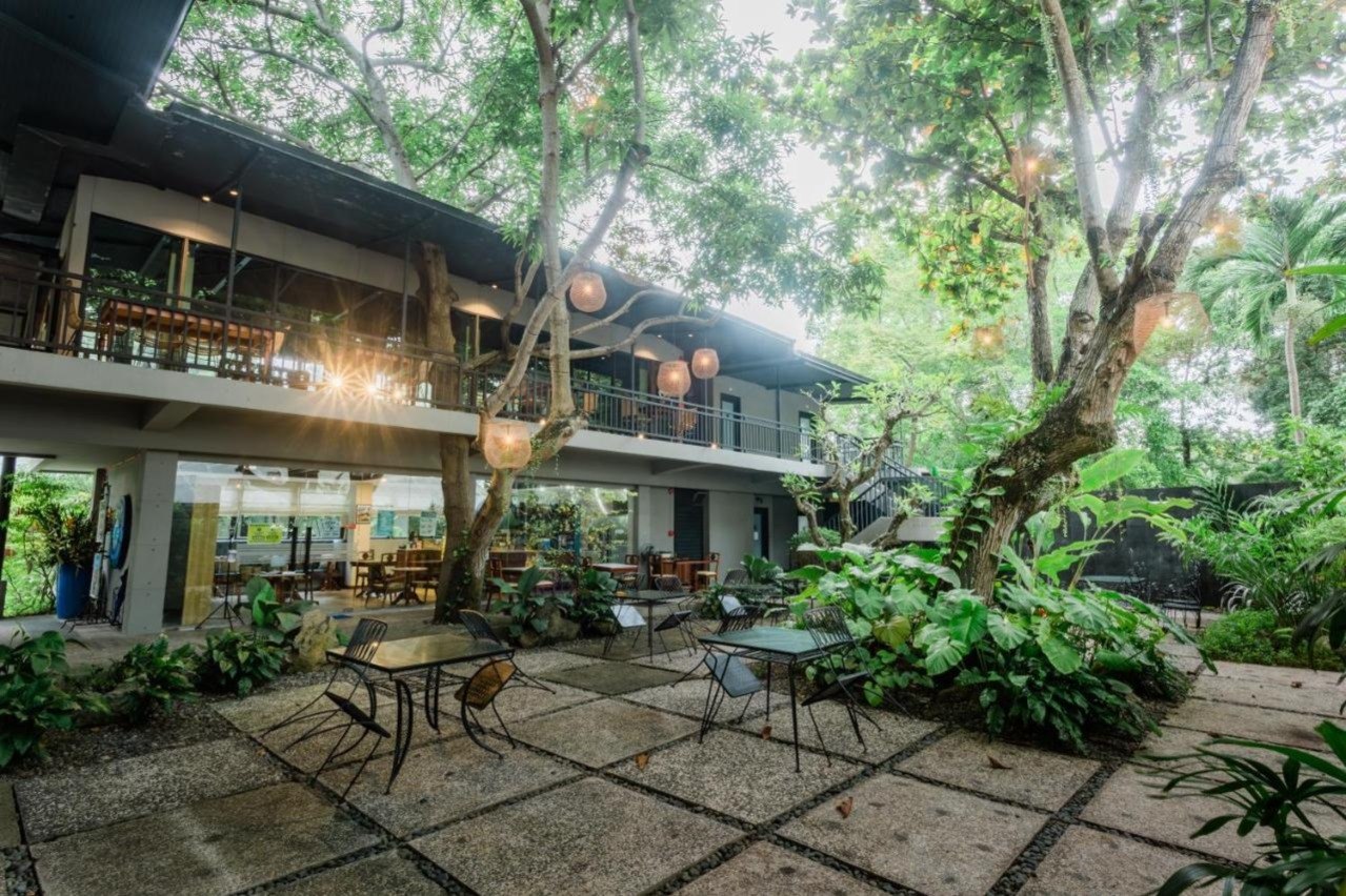 Thiết kế quán cà phê sân vườn Huế: Không gian thư giãn gần gũi thiên nhiên