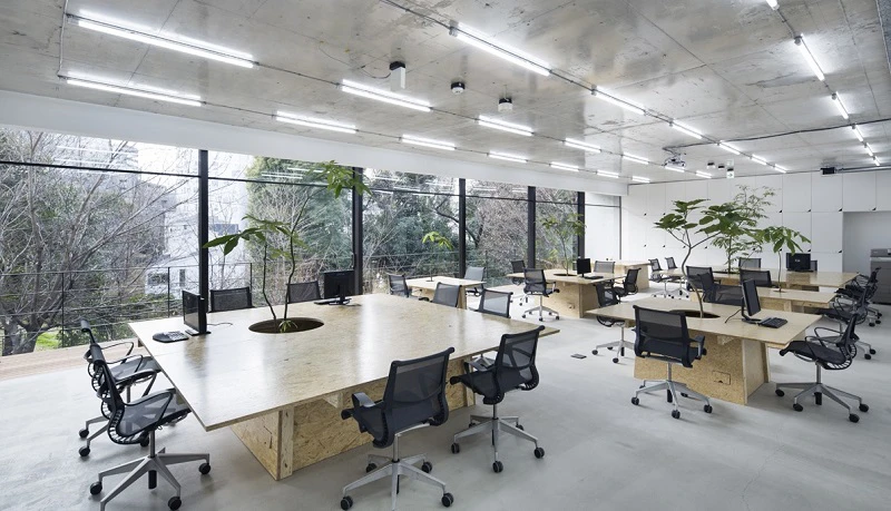 Thi công thiết kế nội thất coworking space